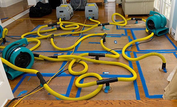 Professional Basement Flood Cleanup technician working in Idledale, CO